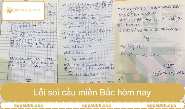 Dự Đoán Soi Cầu Bạch Thủ Miền Bắc Tỷ Lệ Trúng Cao 3 Lỗi soi cầu miền Bắc hôm nay thường gặp của người mới